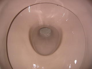 トイレ掃除 トイレクリーニング